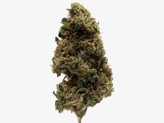 Zkittlez - 13% CBD Big & Medium Buds - Indoor, 1Gr