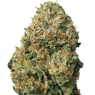 Runtz - 8,15% CBD Medium & Big Buds - Indoor, 5Gr