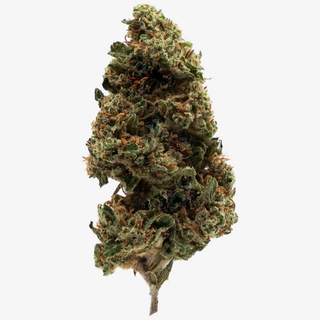Zkittlez - 13% CBD Big & Medium Buds - Indoor, 5Gr