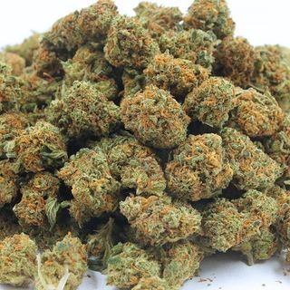 Fedtonic Mini Buds - 7% CBD - Greenhouse, 10gr