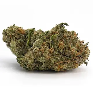 Gary Payton - 14,45% CBD Medium & Big Buds - Indoor, 1Gr