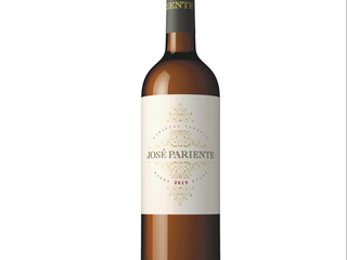 JOSÉ PARIENTE VERDEJO