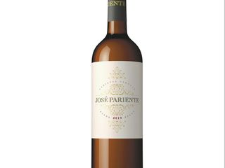 JOSÉ PARIENTE VERDEJO