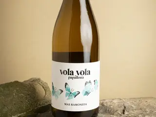 VOLA VOLA PAPALLONA