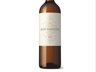 JOSÉ PARIENTE VERDEJO