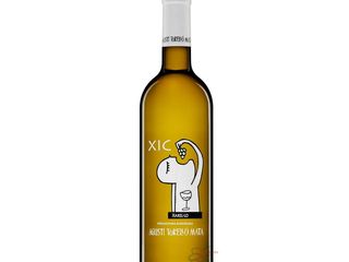 AGUSTÍ TORELLÓ MATA XIC