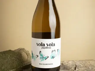 VOLA VOLA PAPALLONA