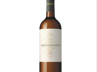 JOSÉ PARIENTE VERDEJO