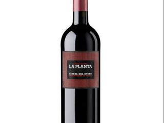 LA PLANTA DE ARZUAGA