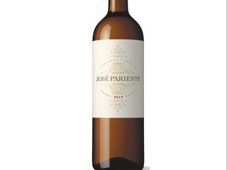 JOSÉ PARIENTE VERDEJO