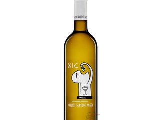 AGUSTÍ TORELLÓ MATA XIC