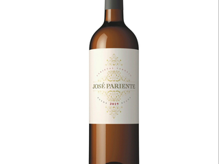 JOSÉ PARIENTE VERDEJO