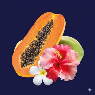 Tarrina 500G Papaya, lima e hibiscus
