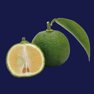 Yuzu Verde