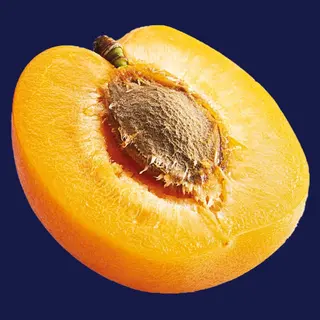 Tarrina 500G Albaricoque