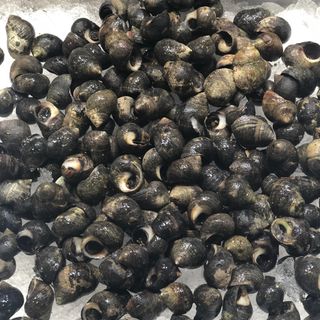 Bigaro cocido 250 gramos 