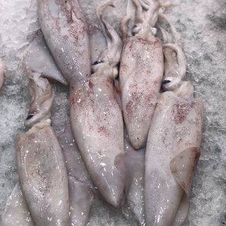 Chipirones de potera 250 gramos 