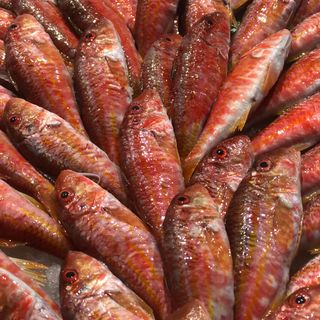 Salmonete de roca 250 gramos 