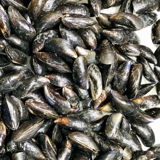 Mejillon de roca (Bouchot) 250 gramos 