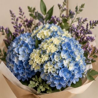 Ramo hortensia blue