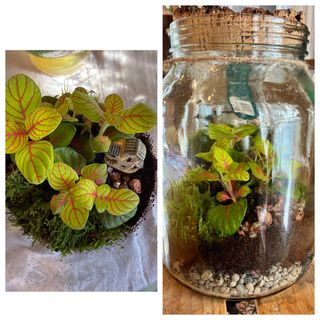 Jardín secreto costa rica