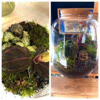 Jardín secreto Monteverde