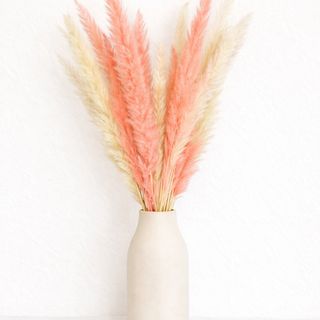 Pampas rosas coral y blancas en jarrón