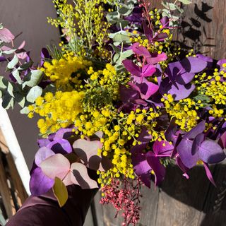 RAMO EUCALIPTO COLOR & MIMOSA