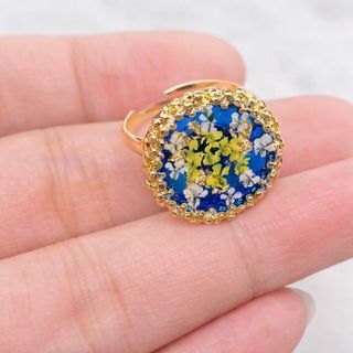 Anillo jardín azul