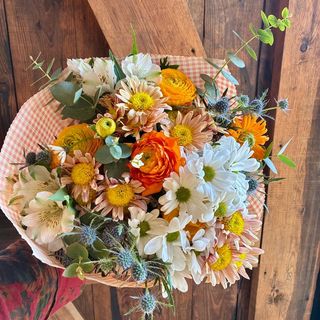 Ramo especial campestre