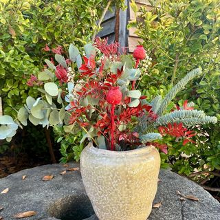 Ramo Navideño Natural Abeto, Eucalipto y Rojo