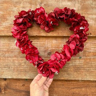 Corazón de Hortensia preservada