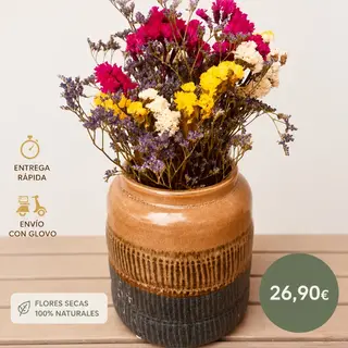 Jarrón Terracota con Flores Secas