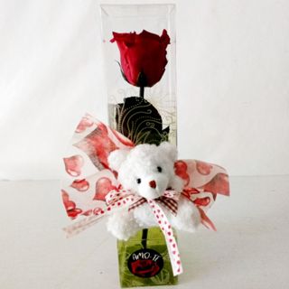 Rosa roja eterna  osito peluche caja pequeña