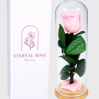 Cúpula Rosa eterna Rosa