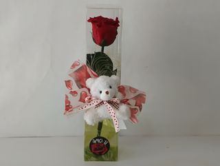 Rosa roja eterna  osito peluche caja pequeña