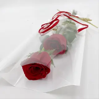 Dos rosas rojas frescas