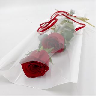 Dos rosas rojas frescas