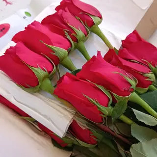 Rosa Roja granel