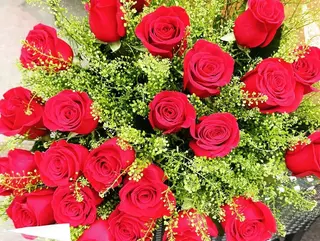 Ramo 17 rosas rojas