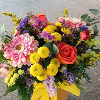 Caja Kraft surtida tonos variados