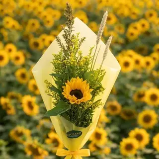 Girasol individual