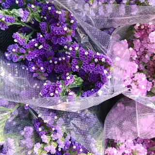 Pack flor papel