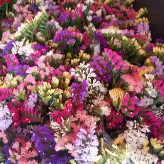 Pomo flor seca
