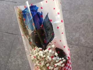 Rosa azul presentada
