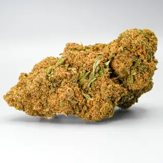 Cogollo de Flor Durban Poison CBD al 20% 3G