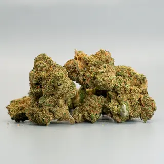 Small Buds Jack Herer CBD 25%- 10g