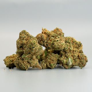 Small Buds Jack Herer CBD 25%- 10g