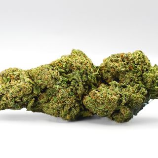 Pistacho Cream CBD x Nano10 al 60% 2G