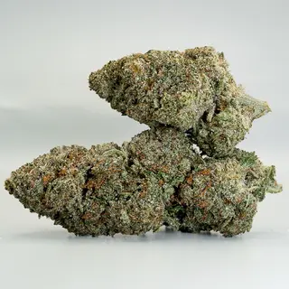 Kush N’ Haze 70% CBN- 2g